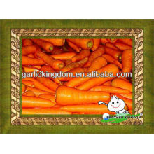 Fresh carrots supplier